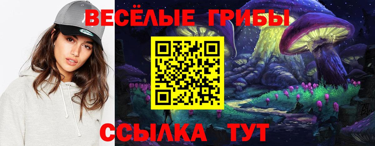 Псилоцибиновые грибы мухоморы Мыски